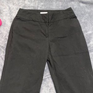 Stretchy loft dress pants- curvy